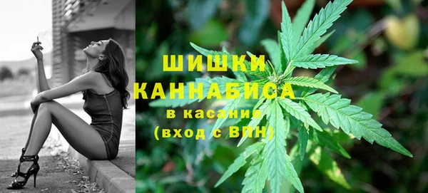 бошки Арсеньев