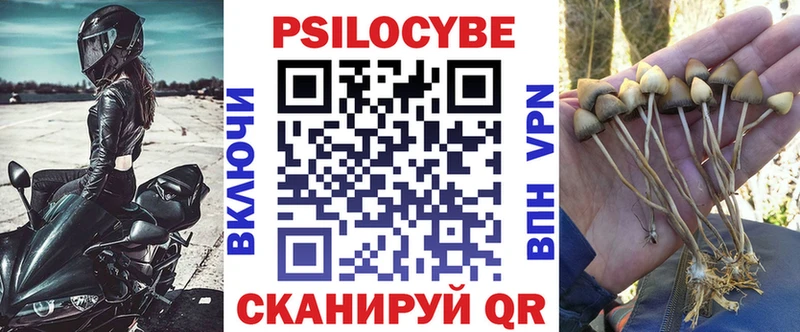 даркнет сайт  Струнино  Псилоцибиновые грибы Psilocybine cubensis 
